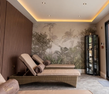 jungle wallpaper mural in spa jungle wallpaper mural in spa