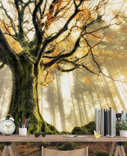 Tree Giant Wall Mural Wallpaper Tree Giant Wall Mural Wallpaper
