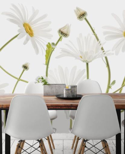 large daisies growing from ground wallpaper large daisies growing from ground wallpaper