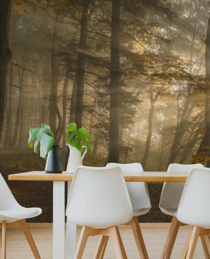Forest Light Wall Mural Wallpaper Forest Light Wall Mural Wallpaper