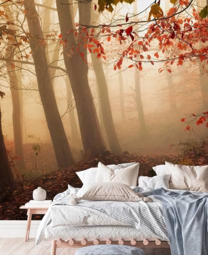 Towards the Light Wall Mural Wallpaper Towards the Light Wall Mural Wallpaper