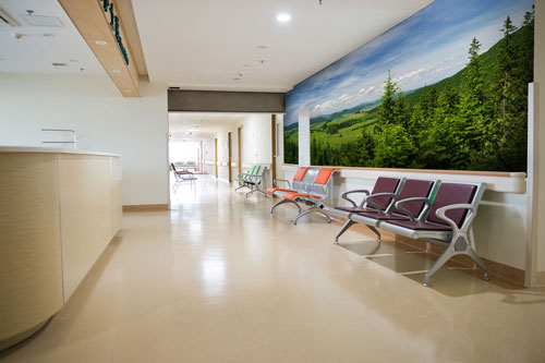 Wall Murals for Dentists and Hospitals & Photo Wallpaper | Wallsauce USA