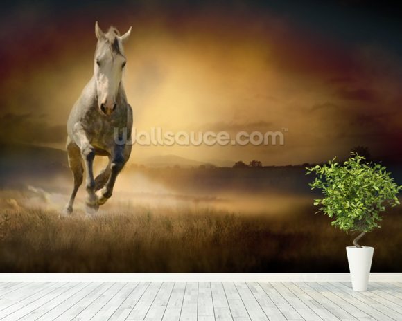 White Horse at Gallop Wallpaper Wall Mural | Wallsauce USA