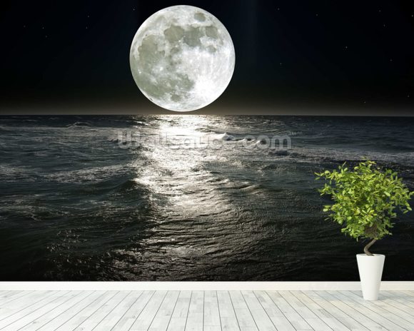 Moon Wallpaper Wall Mural | Wallsauce USA