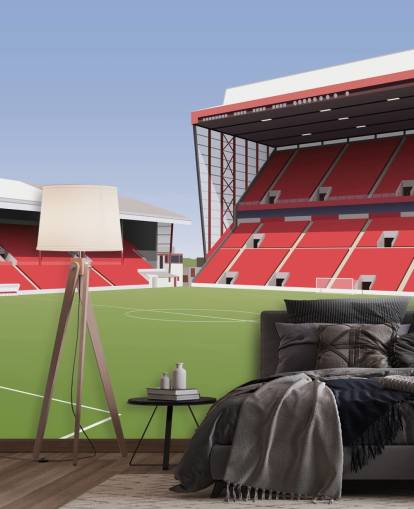 red and green customisable Aberdeen wallpaper mural called Pittodrie Stadium Football Stadium for bedrooms red and green customisable Aberdeen wallpaper mural called Pittodrie Stadium Football Stadium for bedrooms