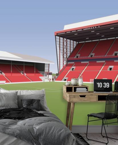 red and green customizable Aberdeen wallpaper mural called Pittodrie Stadium Football Stadium for bedrooms red and green customizable Aberdeen wallpaper mural called Pittodrie Stadium Football Stadium for bedrooms