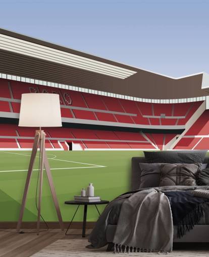 rode en groene muurschildering in Middlesbrough genaamd Riverside Stadium Football Stadium voor slaapkamers rode en groene muurschildering in Middlesbrough genaamd Riverside Stadium Football Stadium voor slaapkamers