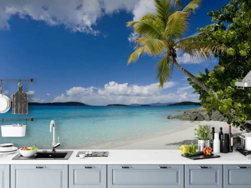 St. John Beach Tropical Beach Wallpaper