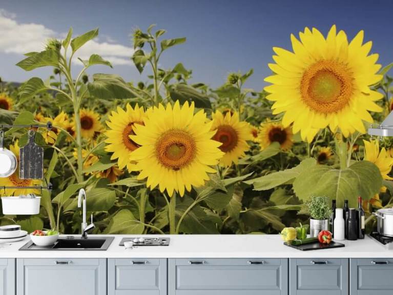 Sunflower Wallpaper & Wall Murals | Wallsauce US