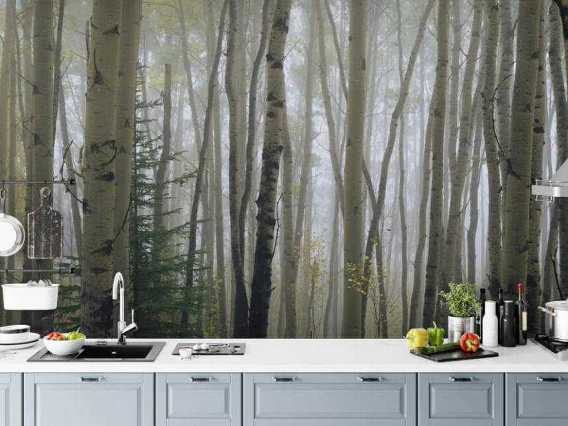 Forest Wallpaper & Tree Wall Murals | Wallsauce UK