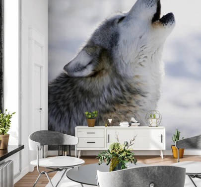 Wolf Wallpaper And Wall Murals | Wallsauce UK