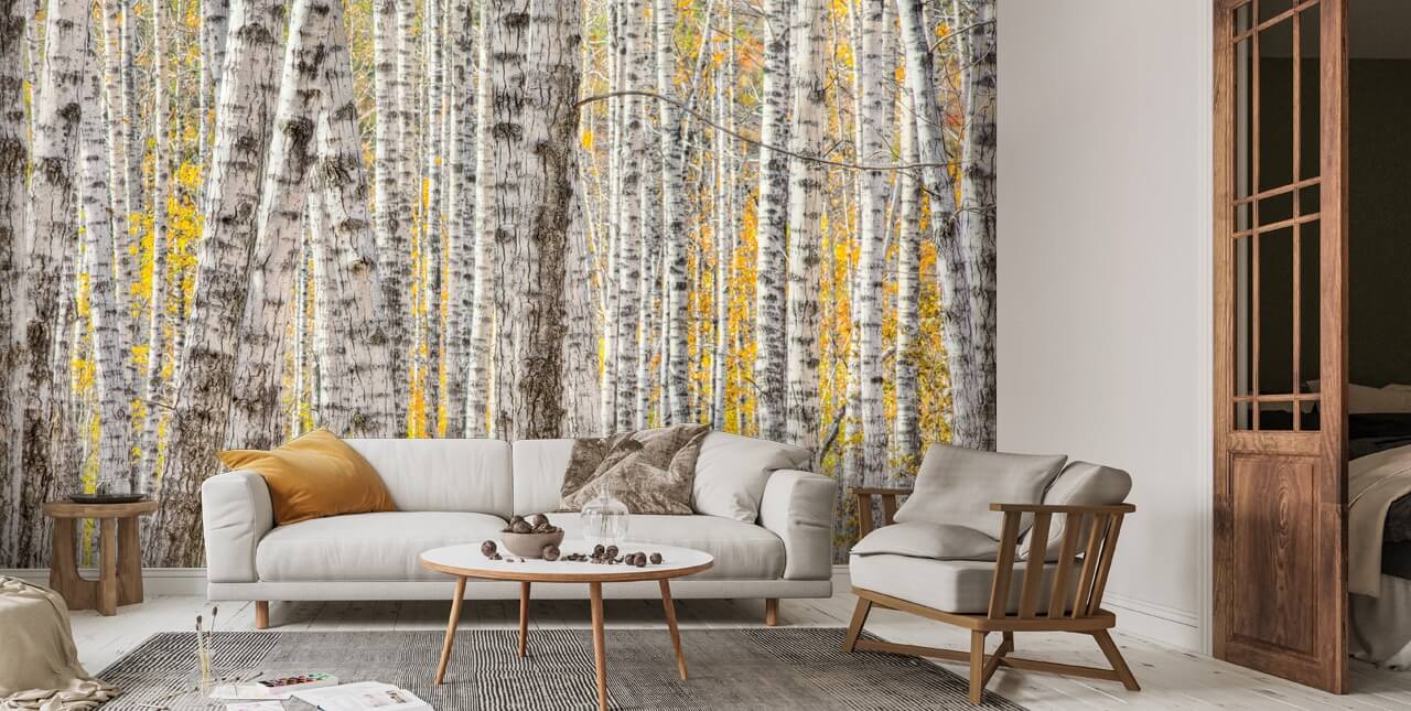 A Poplar Tree Forest In Autumn Wallpaper | Wallsauce UK