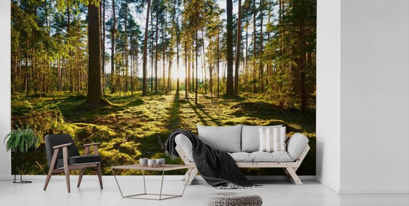 Forest Wallpaper & Tree Wall Murals | Wallsauce UK