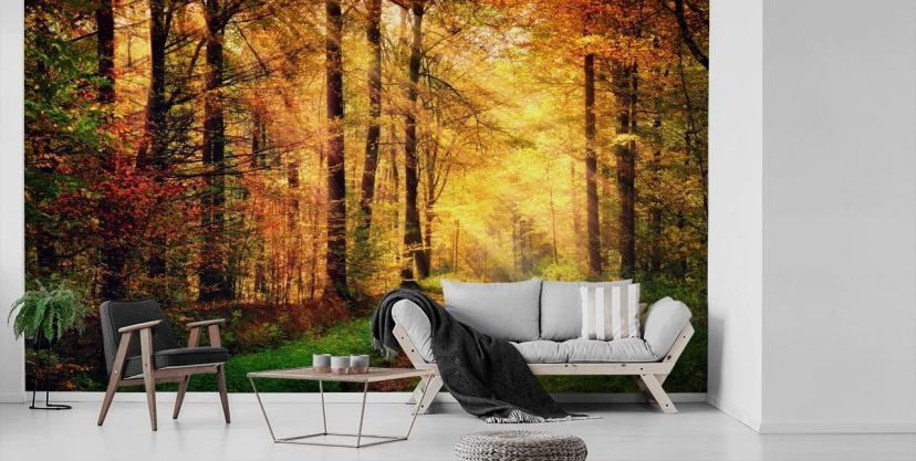 Forest Wallpaper & Tree Wall Murals | Wallsauce NZ