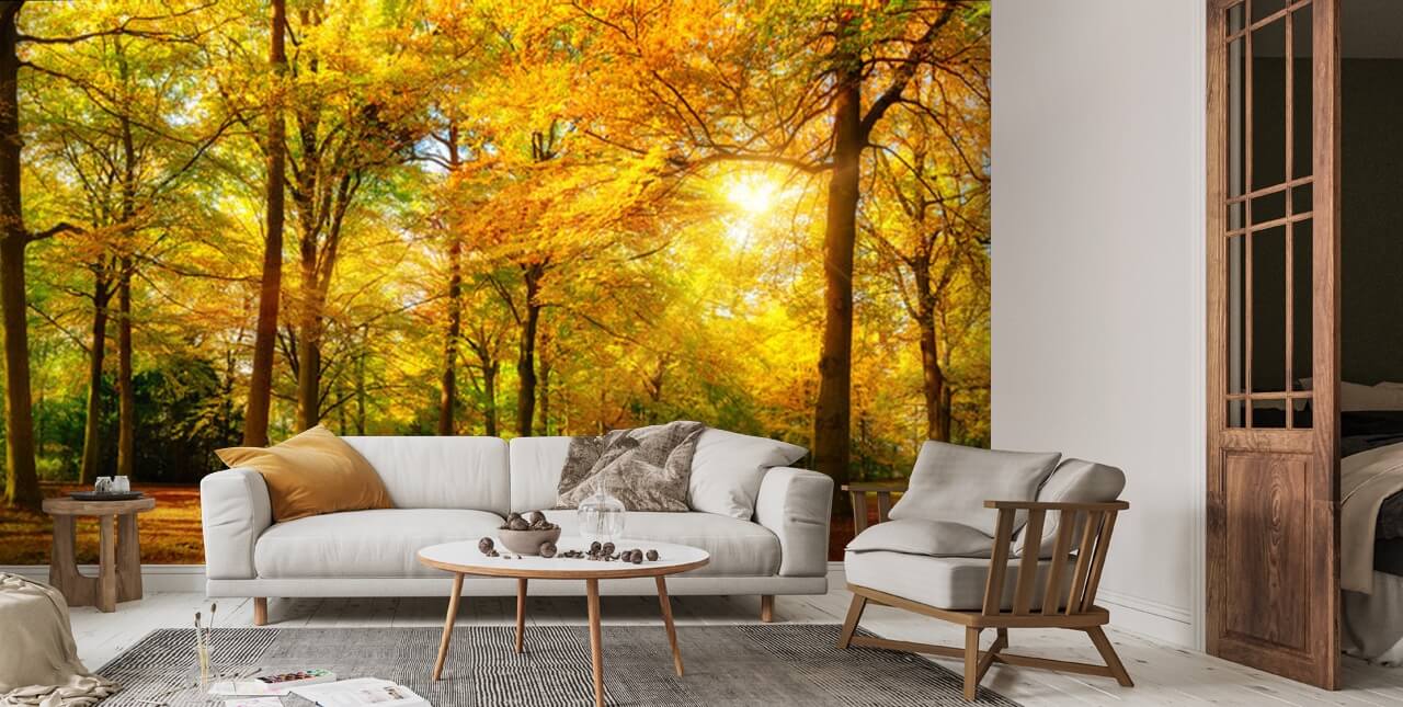 Herbst Wald Panorama im Sonnenschein Wallpaper | Wallsauce UK