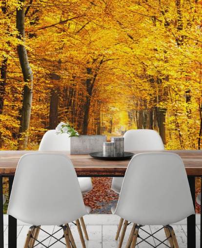 yellow and orange woodland wallpaper mural called Autumn Forest with Yellow Leaves for lounges, home offices and bedrooms yellow and orange woodland wallpaper mural called Autumn Forest with Yellow Leaves for lounges, home offices and bedrooms
