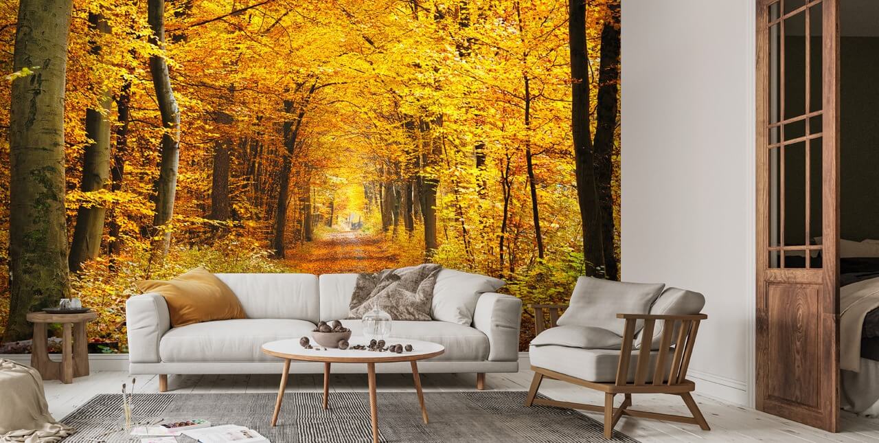 Herfstbos Met Gele Bladeren Behang Wallsauce Nl