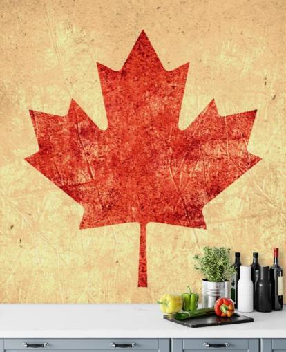 Gammel Canada Flag Bakgrunn Gammel Canada Flag Bakgrunn