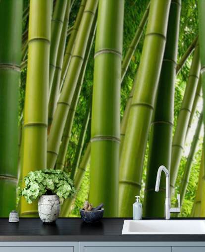 Bamboo Forest Panoramic Wallpaper Bamboo Forest Panoramic Wallpaper