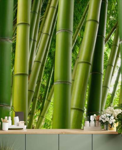 Bamboo Forest Panoramic Wallpaper Bamboo Forest Panoramic Wallpaper