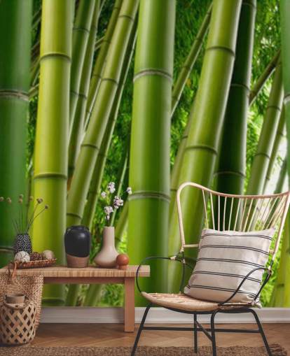 Bamboo Forest Panoramic Wallpaper Bamboo Forest Panoramic Wallpaper