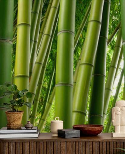 Bamboo Forest Panoramic Wallpaper Bamboo Forest Panoramic Wallpaper