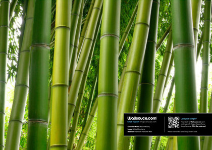 Bamboo Jungle Wallpaper | Wallsauce UK