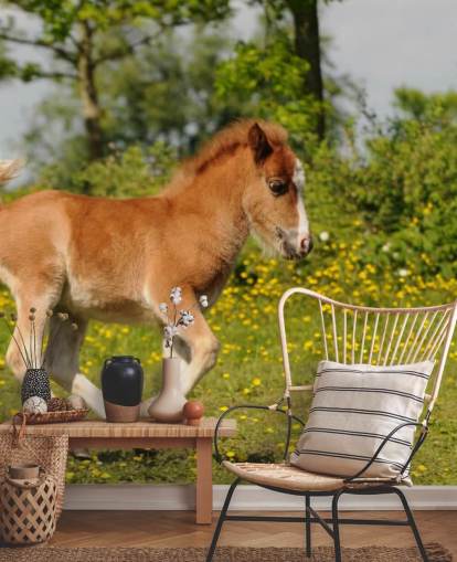 Pony Veulen behang Pony Veulen behang