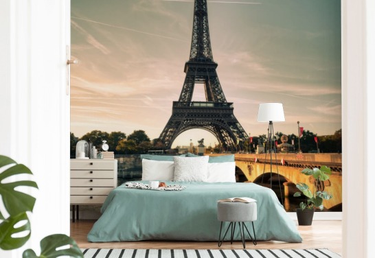 Paris Wallpaper & Wall Murals | Wallsauce US