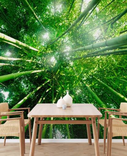 Bamboo Giants Wallpaper Mural Bamboo Giants Wallpaper Mural