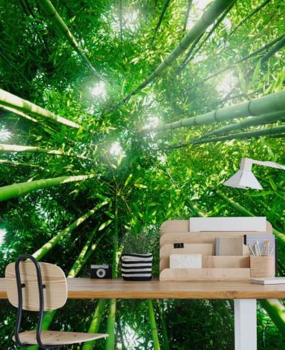 Bamboo Giants Wallpaper Mural Bamboo Giants Wallpaper Mural
