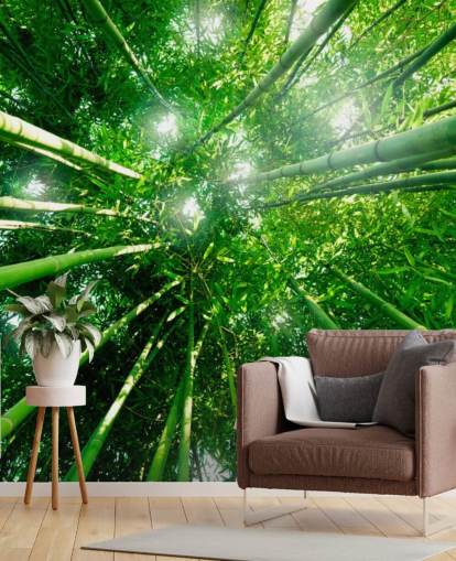 Bamboo Giants Wallpaper Mural Bamboo Giants Wallpaper Mural