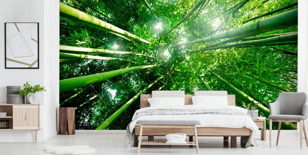 Decorazione murale con giganti di bambù