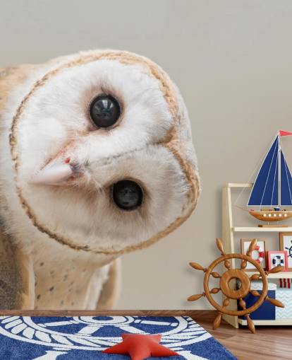 Owl Portrait Wallpaper Owl Portrait Wallpaper