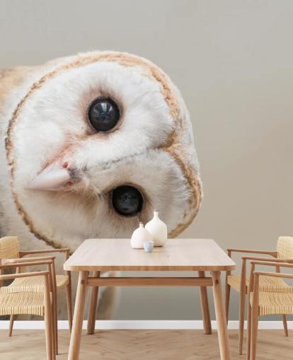 Owl Portrait Wallpaper Owl Portrait Wallpaper