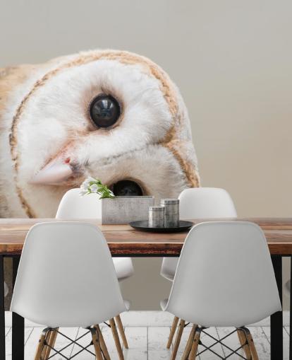 Owl Portrait Wallpaper Owl Portrait Wallpaper