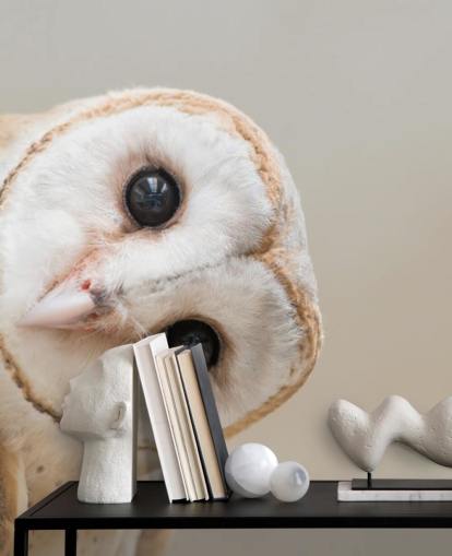 Carta da parati con ritratto Carta da parati con ritratto