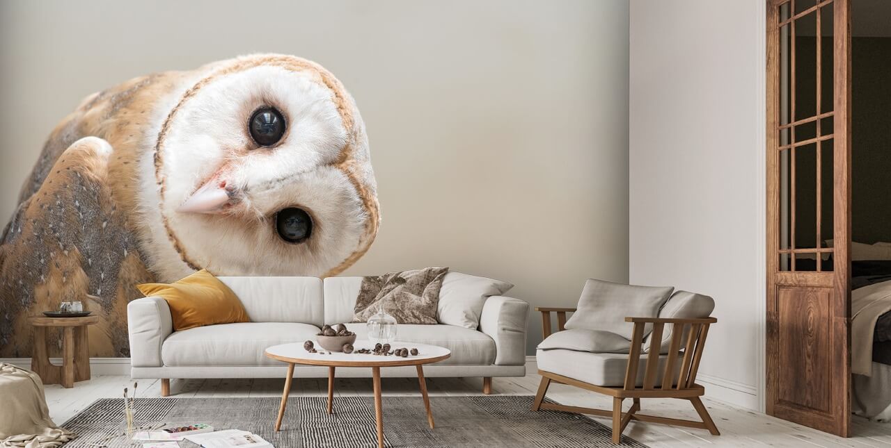 Curious Owl Wall Mural | Wallsauce US