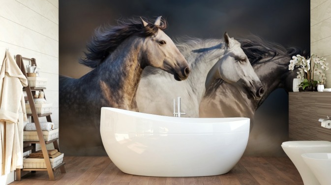 Cavalos cinza, branco e preto correndo papel de parede