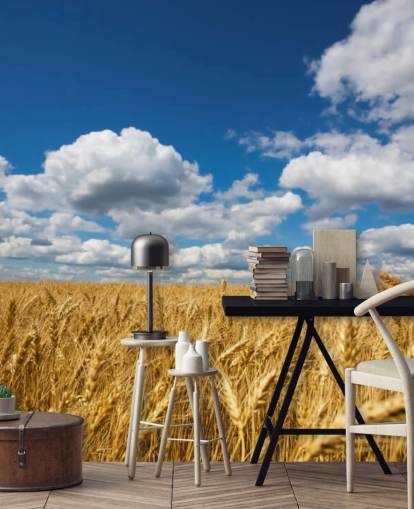 Campo de trigo com mural de parede de céu azul Campo de trigo com mural de parede de céu azul