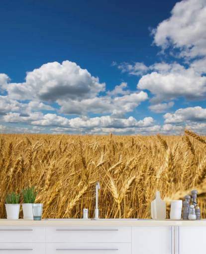 Wheat Field with Blue Sky Wall Mural Wheat Field with Blue Sky Wall Mural