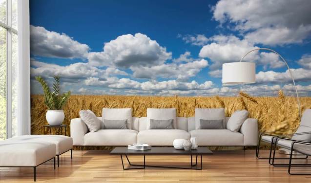 Mural de pared Campo de trigo con cielo azul