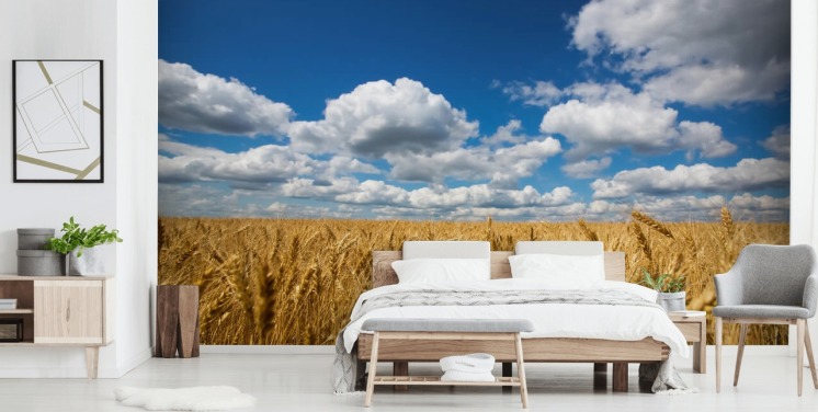 Mural de pared Campo de trigo con cielo azul