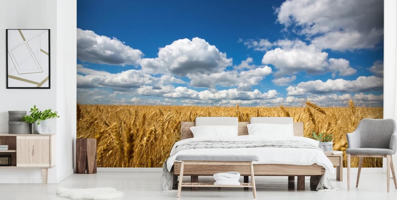Decorazione murale con campo di grano e cielo blu