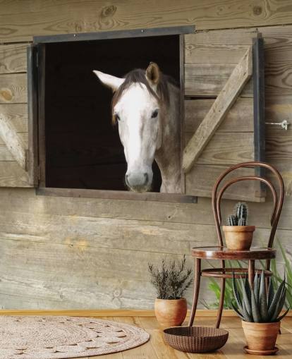 Pferd im Stall Tapete Pferd im Stall Tapete