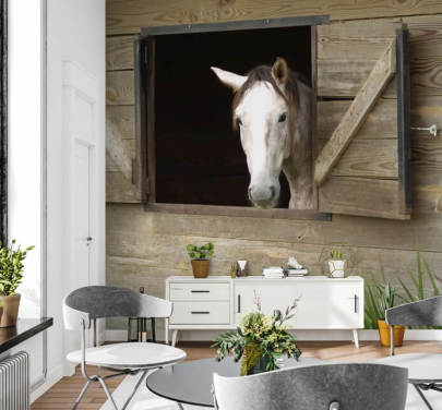 Cavalo no papel de parede estável