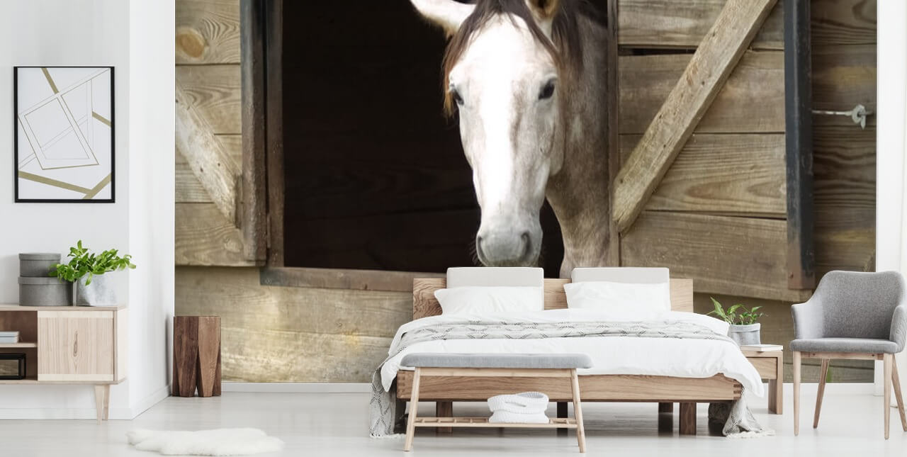Papier Peint Cheval en Stable