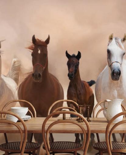 Brown and White Horses Herd Running Mural Brown and White Horses Herd Running Mural