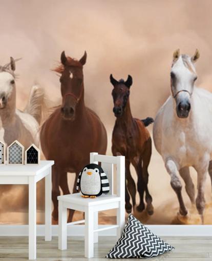 Brown and White Horses Herd Running Mural Brown and White Horses Herd Running Mural
