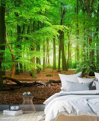 carta da parati murale personalizzabile verde e marrone chiamata Magical Forest per camere da letto e bagni carta da parati murale personalizzabile verde e marrone chiamata Magical Forest per camere da letto e bagni
